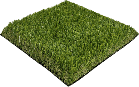 School artificial grass 7 ROYAL QUEEN 2