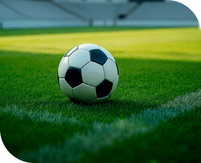 Turf Maintenance 5 FOTOPELOTA