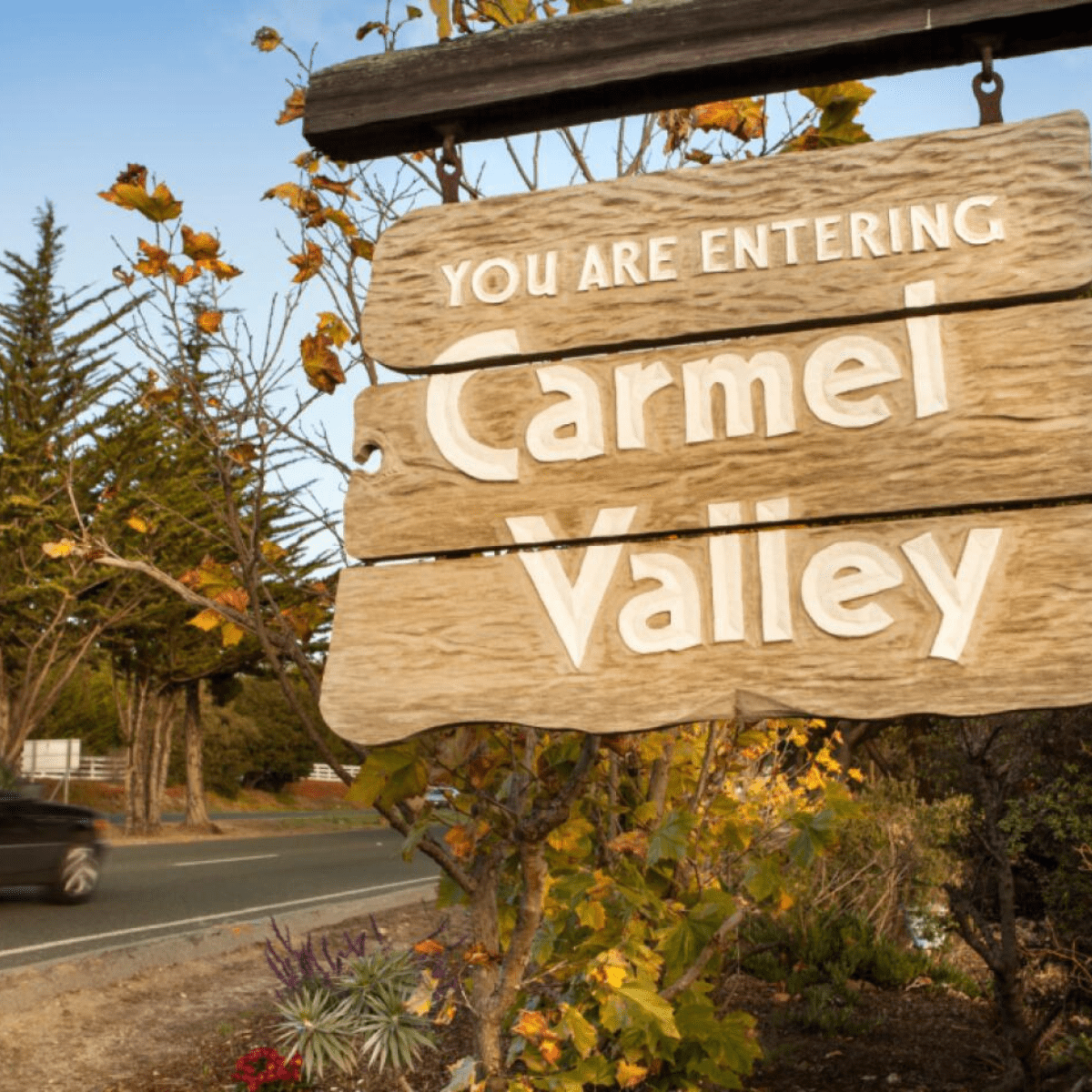 Carmel Valley 1 Diseno sin titulo 5